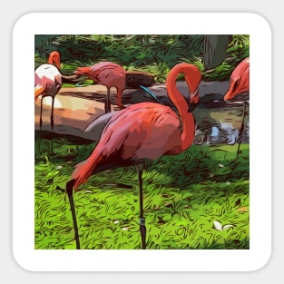 Pink flamingos Sticker